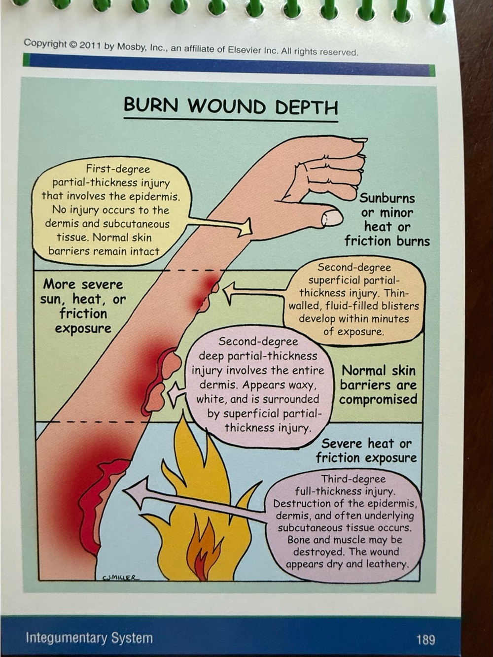 Mosby’s Pathophysiology Nurses Medical Memory Note Cards. In Color. - Picture 7 of 7